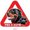 Autovýbava Grel nálepka na plech pozor pes v autě rottweiler