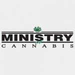 Ministry of Cannabis Mandarin Haze semena neobsahují THC 5 ks – Zboží Dáma