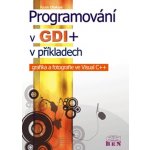 Programování v GDI+ v příkladech - grafika a fotografie ve Visual C++ - Chalupa Radek – Hledejceny.cz