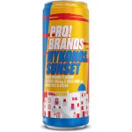 ProBrands BCAA Drink Vacay Edition 330 ml – Sleviste.cz