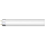 Narva zářivka LT 10W 865 10W 865 chladná denní cool daylight 650lm 6500K 1B 330mm G13 – Zboží Mobilmania