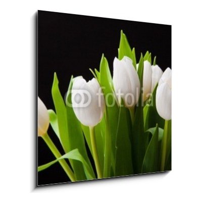 Skleněný obraz 1D - 50 x 50 cm - Bouquet of white tulips on black background Kytice bílých tulipánů na černém pozadí – Zboží Mobilmania