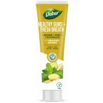Dabur zubní pasta s mátou a zázvorem pro svěží dech 100 ml – Hledejceny.cz