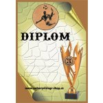 VIZINGR Nohejbal diplom A4 č.19 – Zboží Dáma