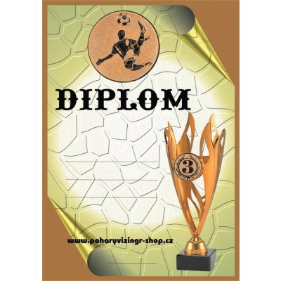 VIZINGR Nohejbal diplom A4 č.19 – Zboží Dáma