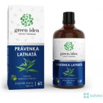 Green idea Právenka latnatá bezlihová tinktura 100 ml – Hledejceny.cz