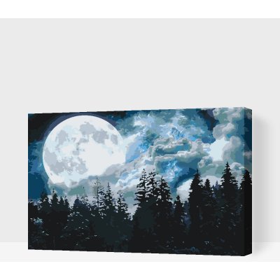 Vymalujsisam.cz Malování podle čísel Úplněk nad lesem – Zboží Dáma