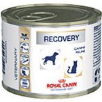 Royal Canin Veterinary Diet Cat & Dog Recovery 195 g – Zboží Mobilmania