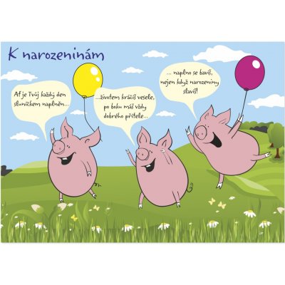 Albi Narozeninové hrací přání - Čuníci – Zboží Dáma