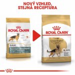 Royal Canin German Shepherd Adult 12 kg – Hledejceny.cz