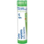 CARBO VEGETABILIS POR 5CH GRA 1X4G – Hledejceny.cz