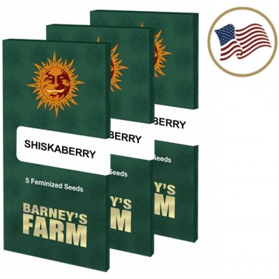 Barney's Farm ShiskaBerry semena neobsahují THC 3 ks