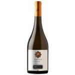 Santa Ema Amplus Chardonnay suché bílé 2021 13,5% 0,75 l (holá láhev) – Hledejceny.cz