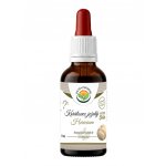 Salvia Paradise Korálovec Hericium AF tinktura 50 ml – Hledejceny.cz