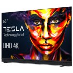 TESLA 65S906BUS – Zboží Živě