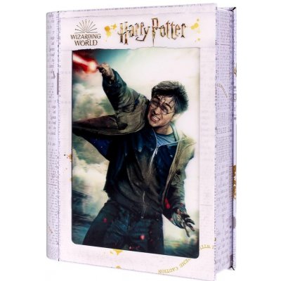 PRIME 3D Puzzle Harry Potter: Harry 300 ks – Hledejceny.cz
