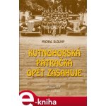 Kutnohorská pátračka opět zasahuje - Michal Dlouhý – Hledejceny.cz