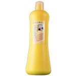 Iv San Bernard zelené jablko Kondicionér 1000 ml – Zboží Mobilmania