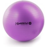 Ledragomma GymnastikBall Maxafe 75 cm – Zbozi.Blesk.cz