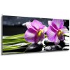 Obraz Skleněný obraz 1D panorama - 120 x 50 cm - Oriental spa with orchid with and green plant on zen stones Orientální lázně s orchidejem a zelenou rostlinou na zenových kame