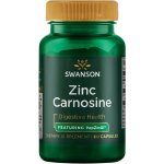 Swanson Zinc Carnosine 60 kapslí – Hledejceny.cz