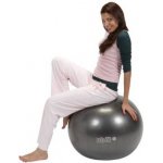 Gymnic plus 65 cm – Zbozi.Blesk.cz