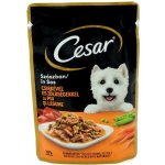 Cesar Chutné kuřecí se zeleninou 100 g – Sleviste.cz