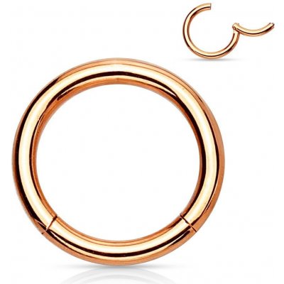 Šperky4U piercing segment kruh zlacený K01039RD-1206 – Zboží Mobilmania