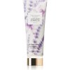 Tělová mléka Victoria's Secret Lavender & Vanilla tělové mléko pro ženy 236 ml