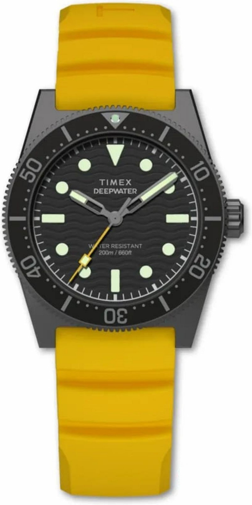 Timex TW2W74800