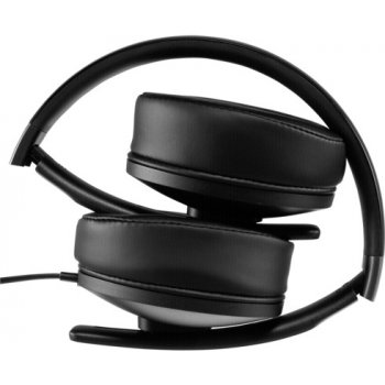 Sennheiser HD 4.20s