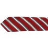 Kravata GIORI kravata Giori Milano RS0804