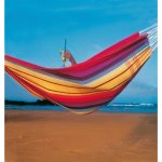Amazonas Barbados – Hledejceny.cz
