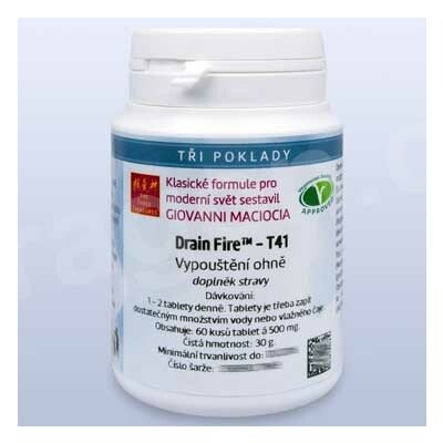 Giovanni Maciocia T41 Vypuštění ohně Drain Fire 60 tablet – Hledejceny.cz