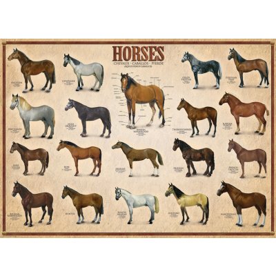 EuroGraphics Horses 1000 dílků – Zboží Mobilmania