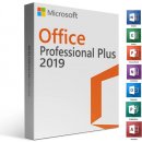 Microsoft Office 2019 Professional Plus (PC), 269-17076, druhotná licence