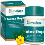 Himalaya Tentex Royal 60 kapslí – Hledejceny.cz