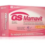GS Mamavit 1 Plánování a 1.trimestr 30 tablet – Hledejceny.cz