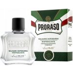 Proraso Green balzám po holení 100 ml – Hledejceny.cz
