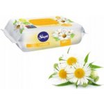 Sleepy Vlhčené Ubrousky Aloe vera 120 ks – Zboží Dáma
