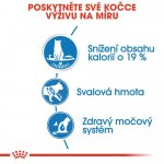 Royal Canin ultra light jelly 12 x 85 g – Sleviste.cz