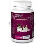 Univit Roboran MIX pro kočky 0,1 kg – Zboží Dáma