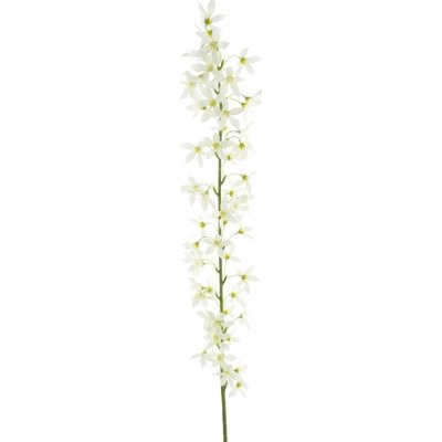 Trojpuk (Deutzia) krémová délka 100 cm – Hledejceny.cz
