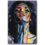 Malování podle čísel BAREVNÁ V RAUŠI – Zbozi.Blesk.cz