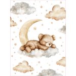 Takoy Bavlna premium NELA PANEL XL medvídek na obláčku – Hledejceny.cz