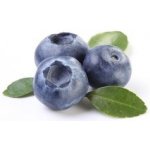 Zeelandia Ovocná Náplň borůvkový gel 1 kg – Zboží Dáma
