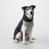 Obleček pro psa PAIKKA Regenerační zimní tričko GREY