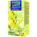 Vitto Magic Fruit Citron Limety se šťávou n.s20 x 2 g