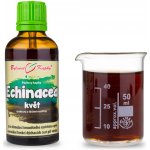 Bylinné kapky Duše rostlin Echinacea purpurea třapatka nachová květ tinktura 50 ml – Hledejceny.cz