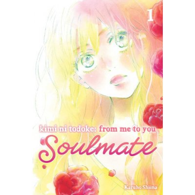 KIMI NI TODOKE ME TO YOU SOULMATE V01